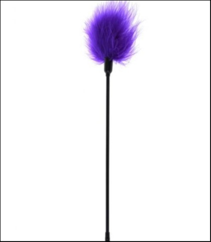 Golicaljka-purple