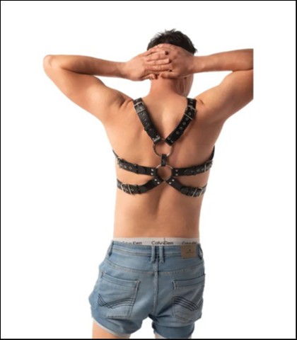 Muski seksi harness