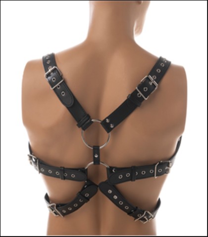 Muski seksi harness